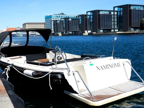 Tour en bateau privé guidé à Copenhague passant devant la bibliothèque du Diamant Noir