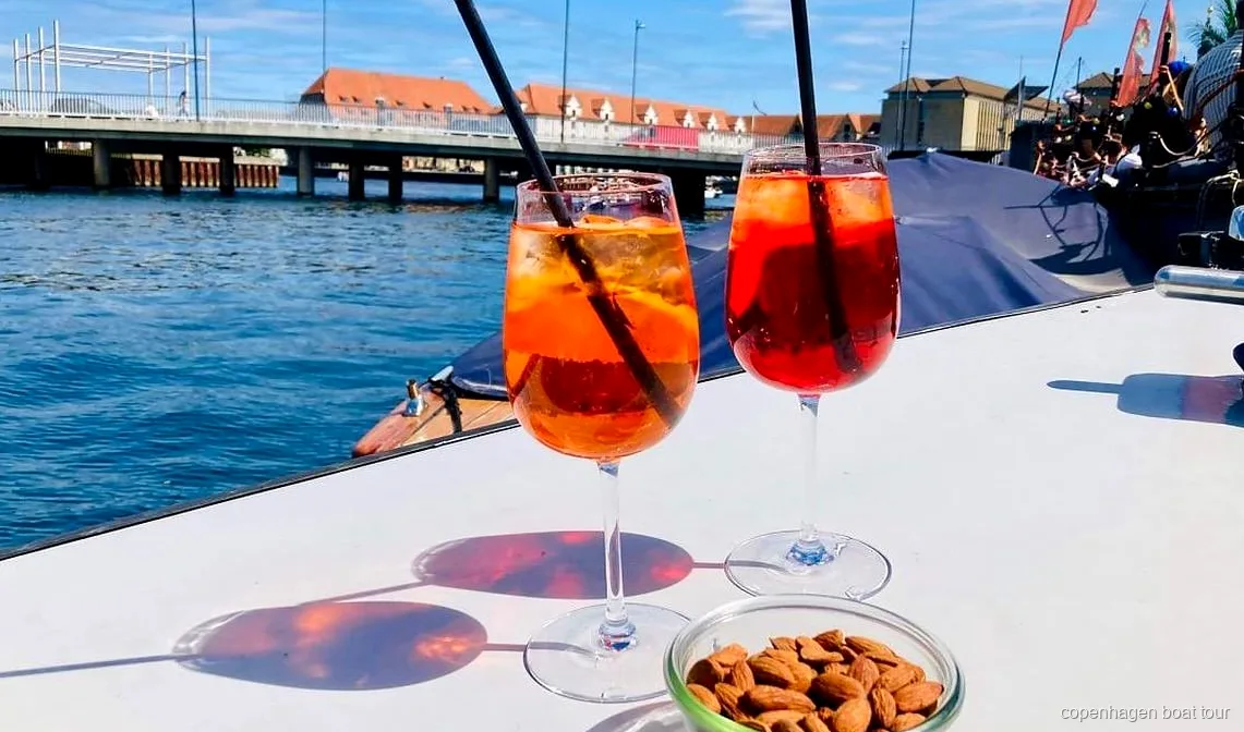 Dog onboard a Copenhagen private boat cruise with pets welcome