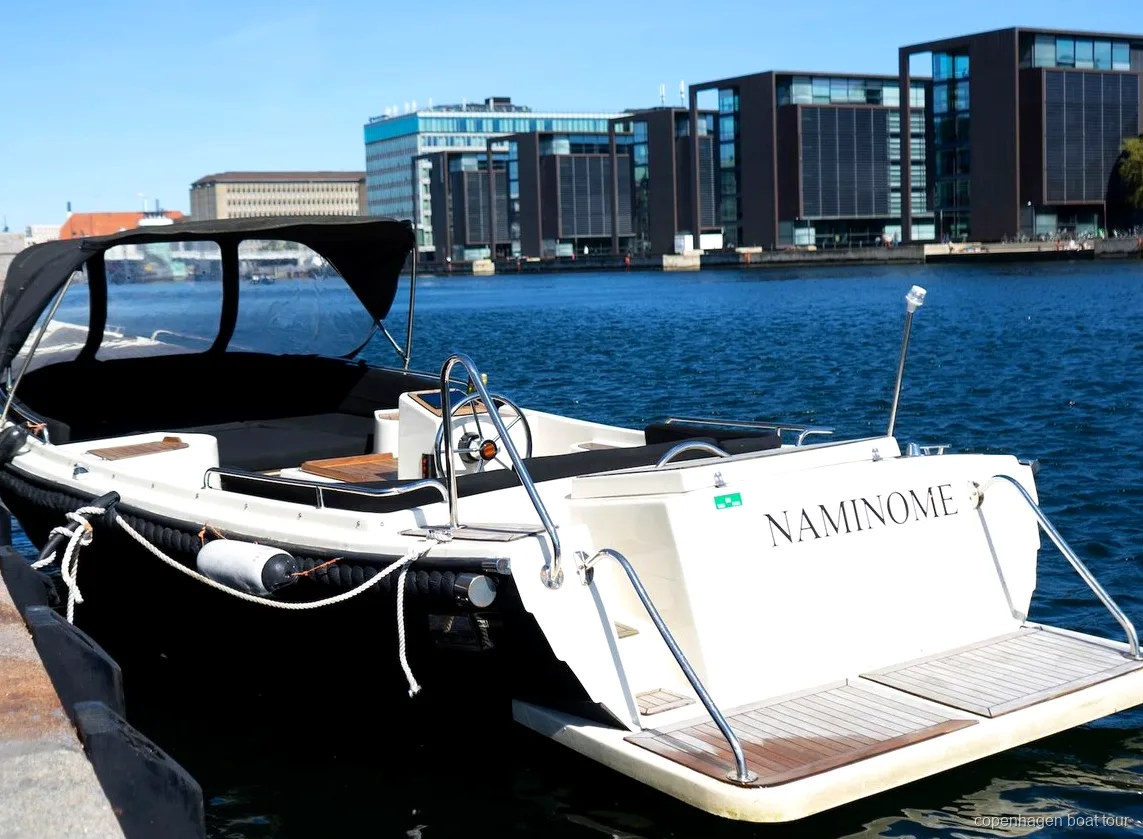 Copenhagen private guided boat tour passing the Black Diamond library